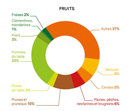Infographie sur les surfaces de production