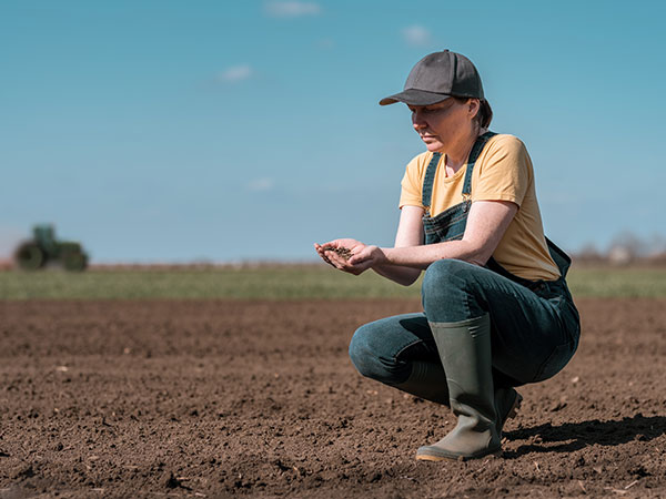 Woman preparing the soil of a vineyard