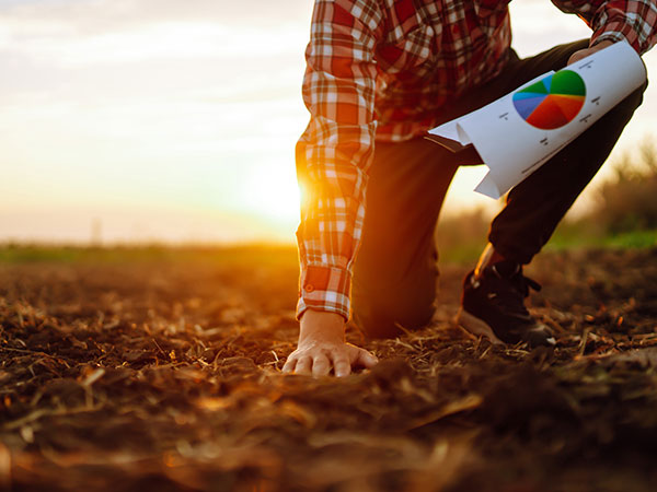 Winegrower in a field holding a graph in his hand