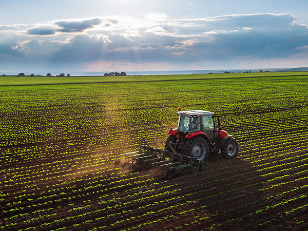 Tractor on a plot of farmland