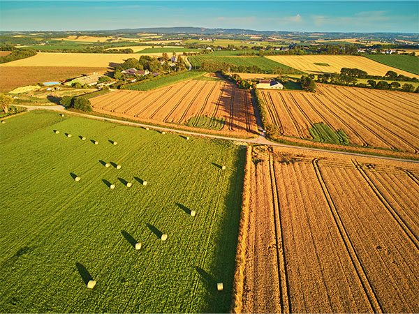 Vue aérienne de parcelles agricoles avec des bottes de foin