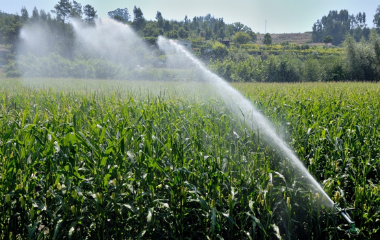 Smart irrigation