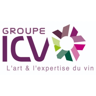 Group ICV logo
