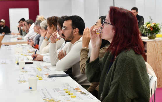 Olive oil tasting