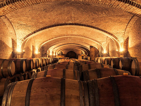 Wine barrels in a cellar