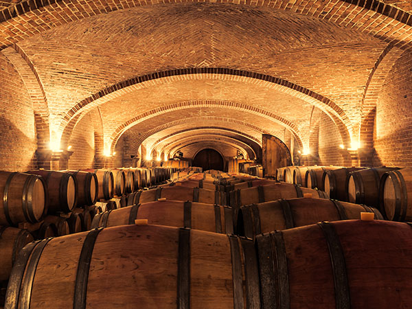 Tonneaux contenant du vin dans une cave