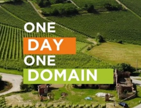 One day, one domain