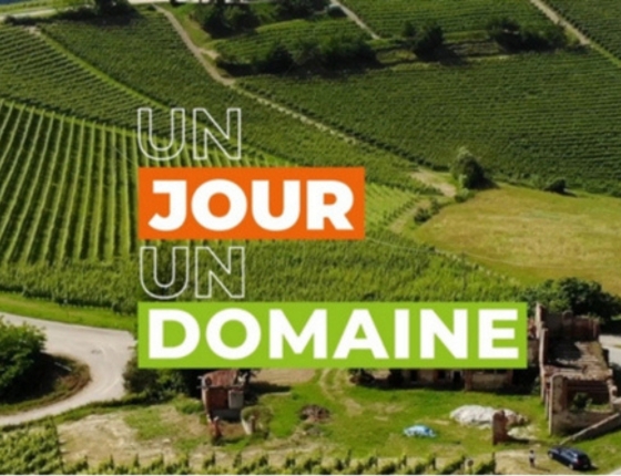 Un jour, un domaine