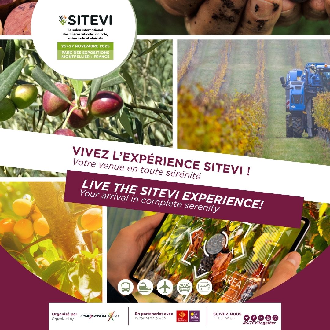 Cover image of the SITEVI Park accessibility guide