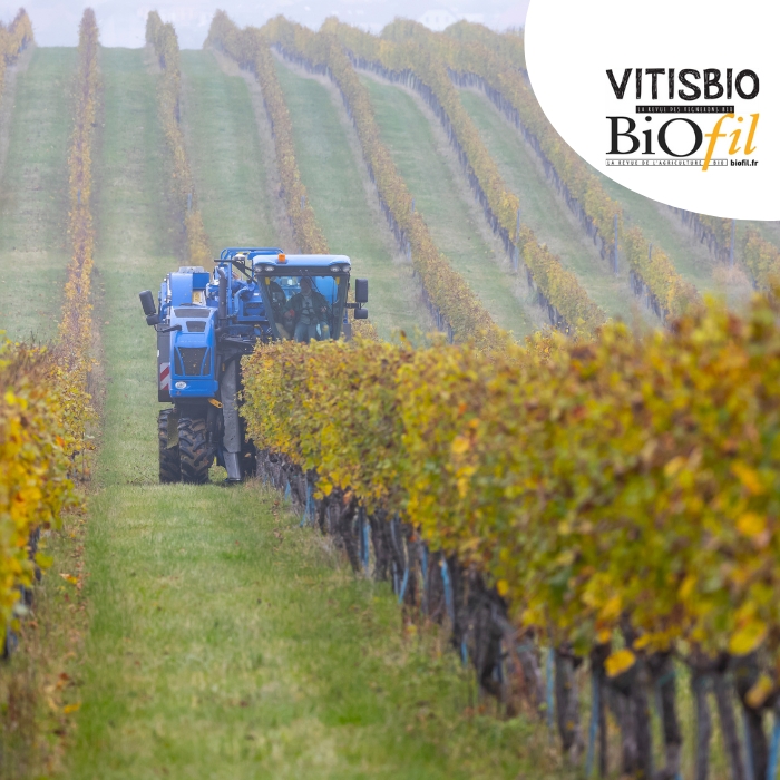 Logo Vitisbio & Biofil